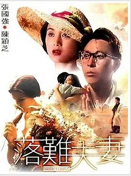 金佳览